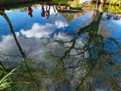 富士湧水の池