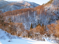 冬の水上