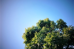青空