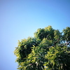 青空
