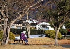 たたずむ老婆