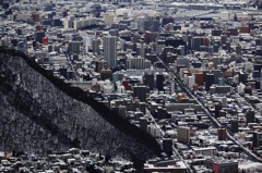 札幌の街並み