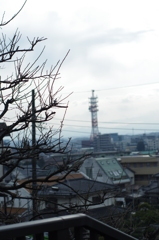 IMGP3532