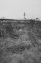 探検