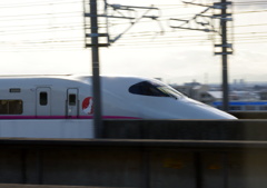速いですね(^_^;)