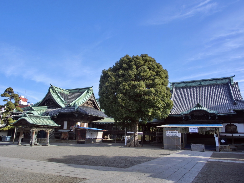 柴又帝釈天3