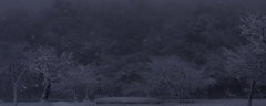 雪の眉山より