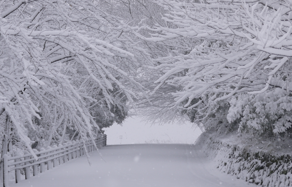 眉山の新雪