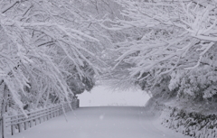 眉山の新雪