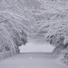 眉山の新雪