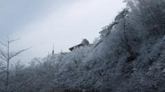 俺が子供だったら秘密基地と呼ぶ