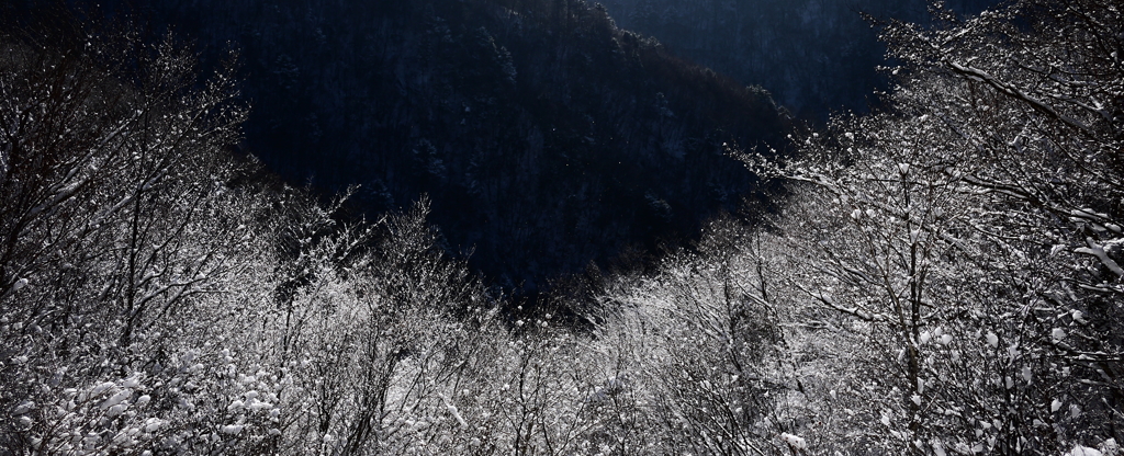 雪枝