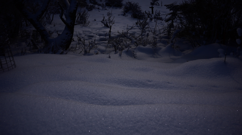 静かな雪の波