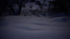 静かな雪の波