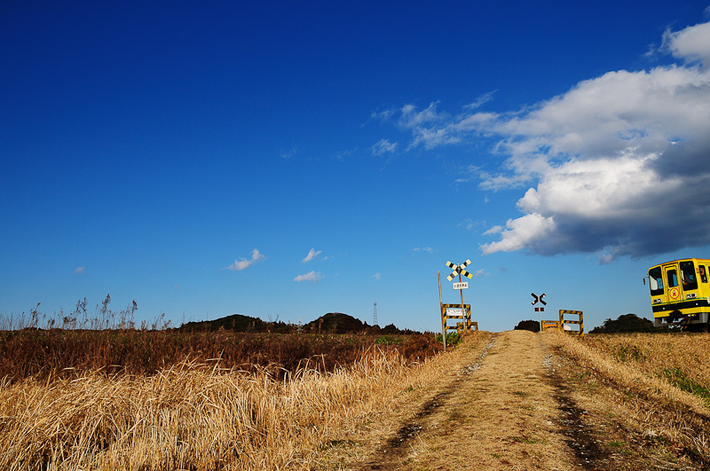 いすみ鉄道の聖地