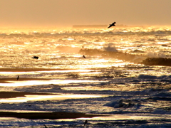 荒海の夕日