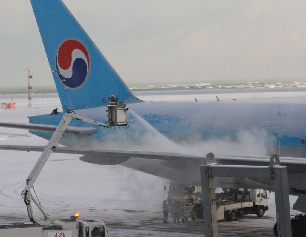 飛び立ちの準備