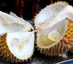 王様　”ドリアン”