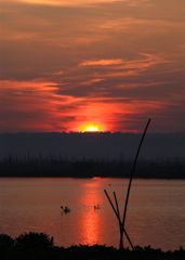Rising sun in Bukit Cinta, Rawa Pening