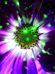 宇宙