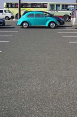 lady bug