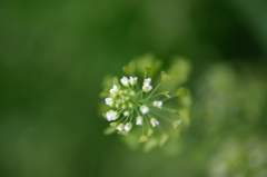 a sigh 4
