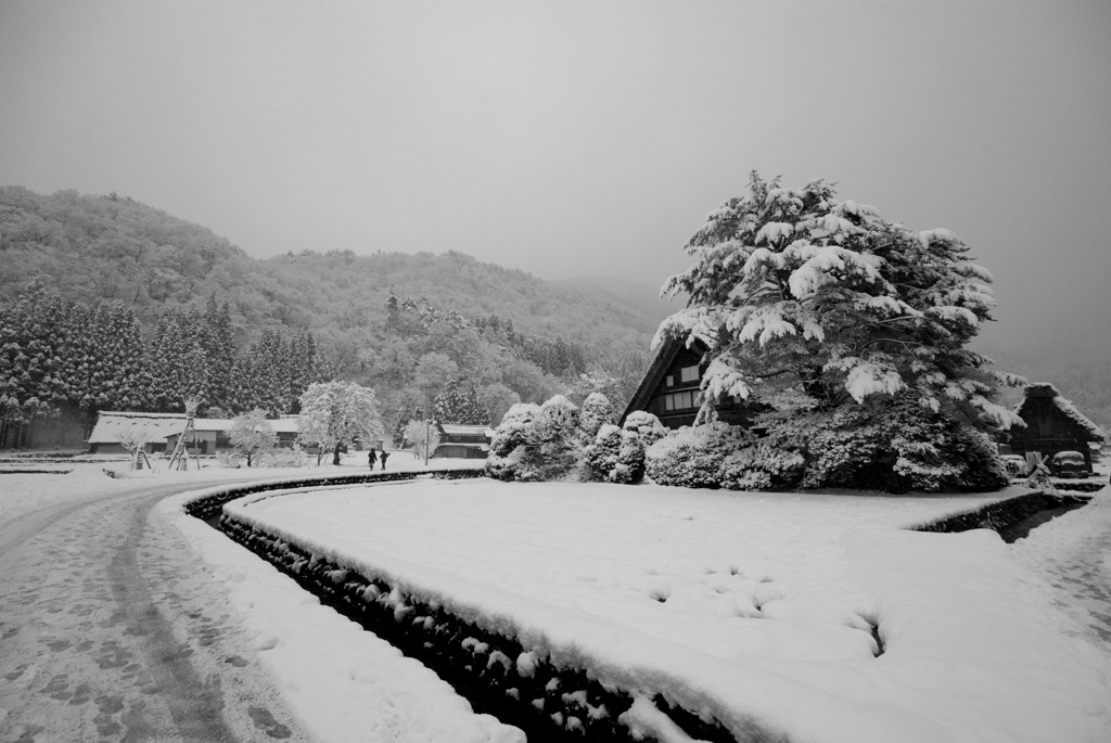 Shirakawago, Gifu.