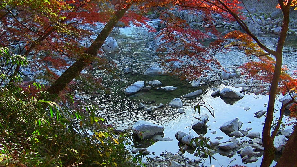 真ん中だけ水が不動