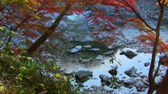 真ん中だけ水が不動