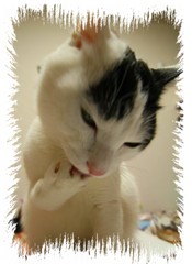 プククッ・・・