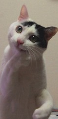 にやり
