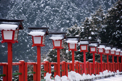 紅白