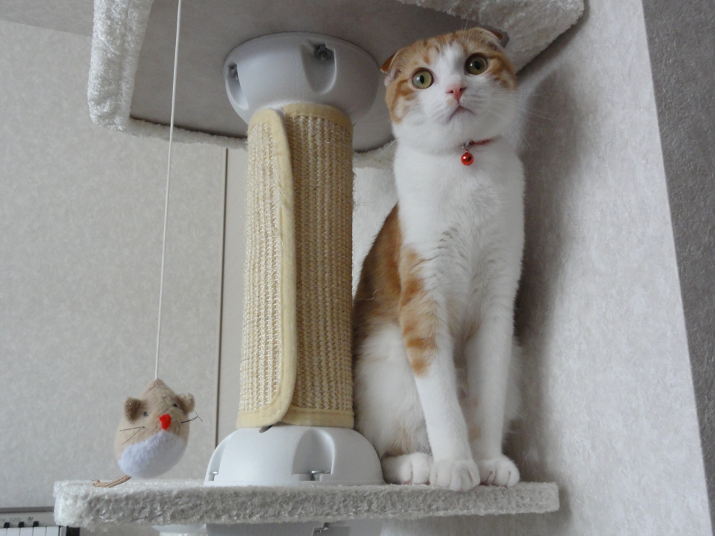 おかしな関係