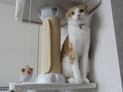 おかしな関係