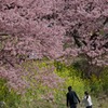 同じ気持ちで