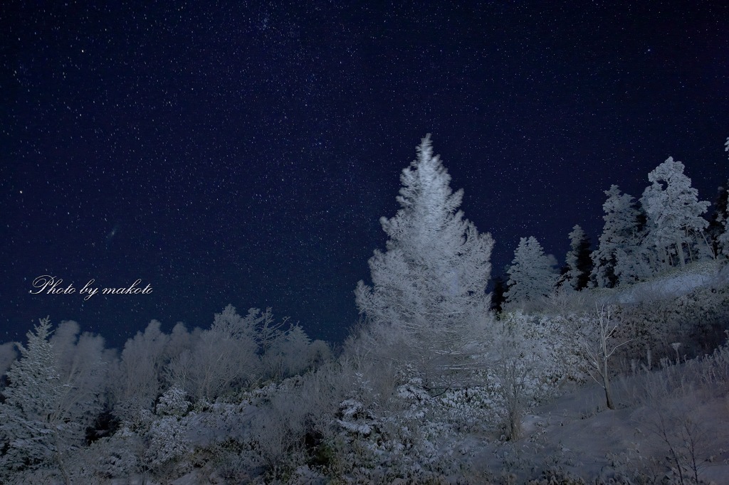 Stars' nights