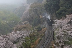 雨に煙る山間