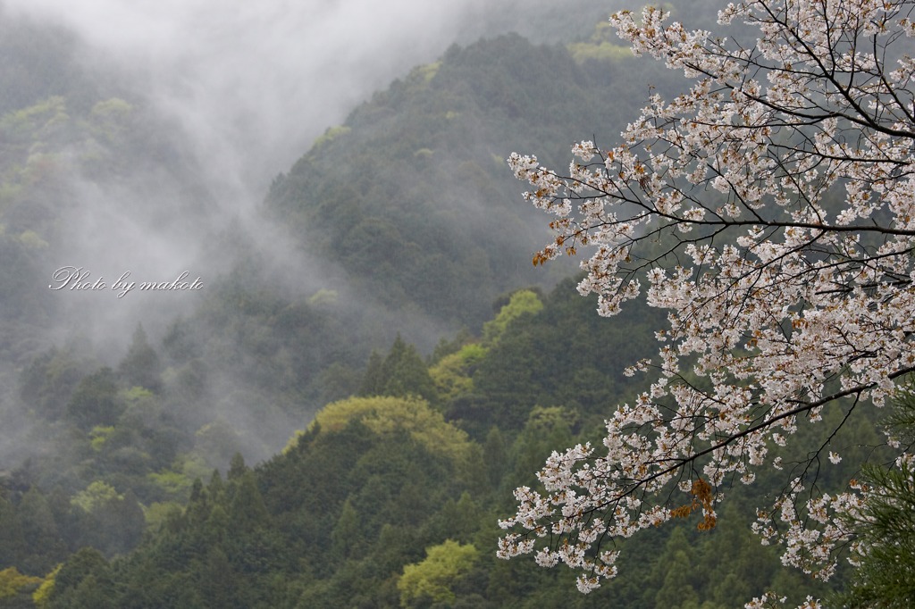 雨の山間