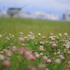 June　②