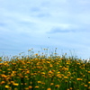June ①