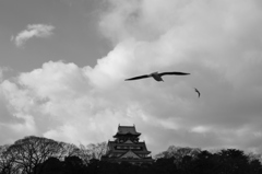大阪城