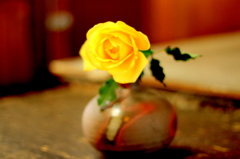 一輪の花
