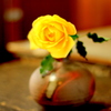 一輪の花