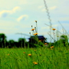 June　⑤