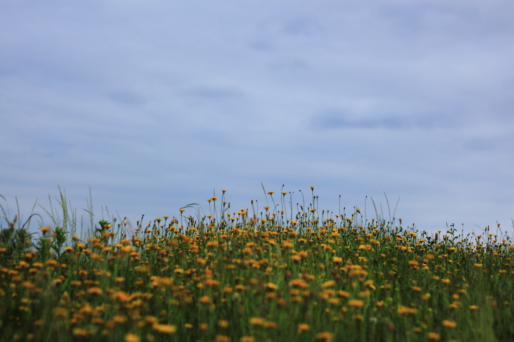 June　⑧