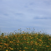 June　⑧
