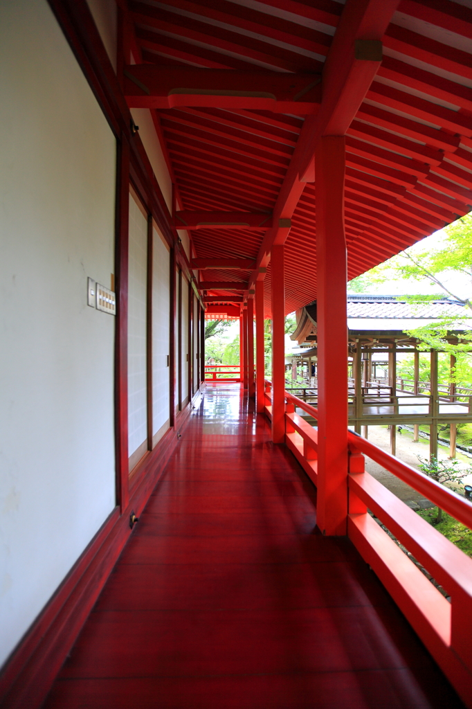 京都　大覚寺回廊