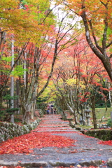 鶏足寺