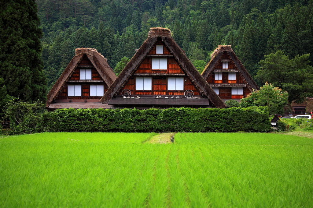 白川郷