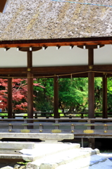 上賀茂神社